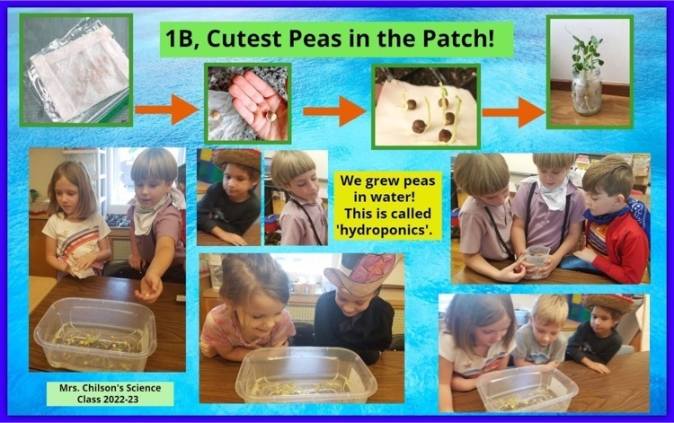 science pictures